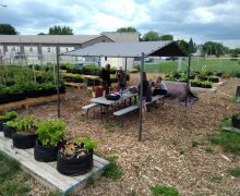 photo jardin